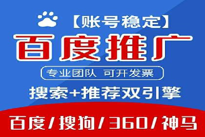 大型SEM服务公司案例分析